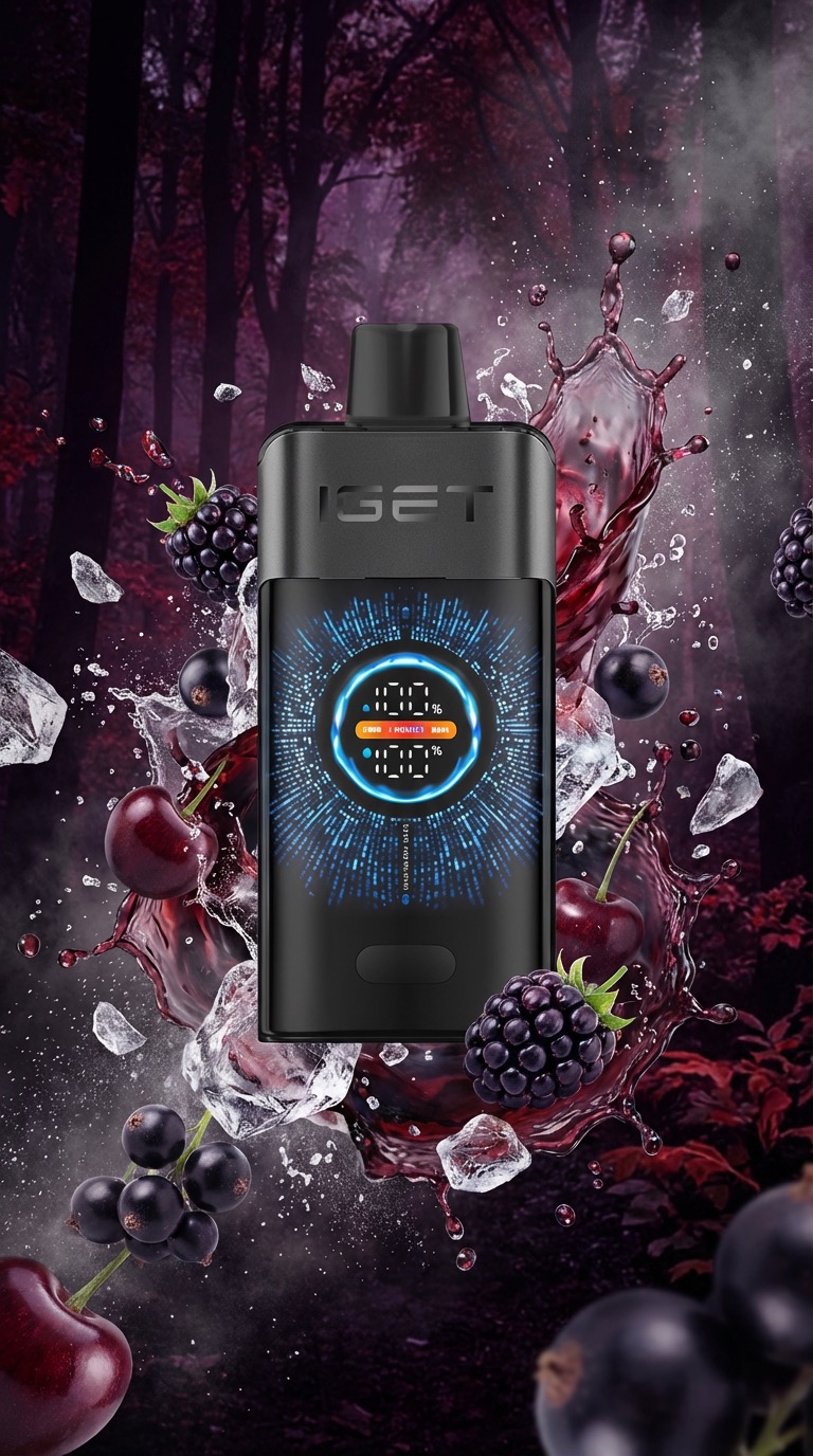 IGET ONE 10PACK - Black Forest